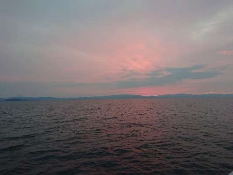 7fe9nexpunuk4naw6n2o_480_480-743106bb.jpg