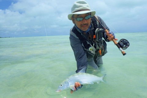 7fjso7b36bm59izkb5v6_480_480-1edbf0f7.jpg