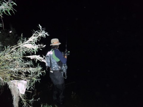 7gapkomucevpj4hasnkj_480_480-e9a02969.jpg