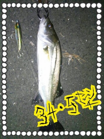 7gsb97jaf6gatd2tkofb_690_920-6d786d07.jpg