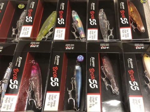 7gytfh8tisikxpc2nb3y_480_360-1f829b09.jpg