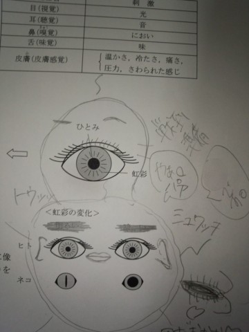 7gzsszfi4g4gs985s8hw_690_920-b74f3338.jpg