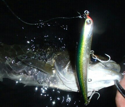 7h2ran6zakotg5wdjs4x_430_369-6f7a250f.jpg