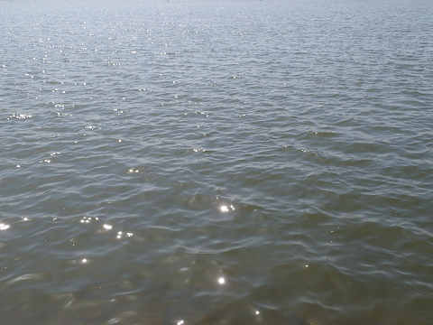 7h35zgmhrpdftshf6dgf-fe45f7f0.jpg