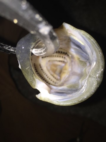 7h68y3ota2yju2rpxwbt_690_920-c99a8391.jpg