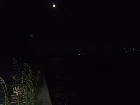 7hsmmbtpfn2k7nxf83xp_480_480-f15afb4f.jpg