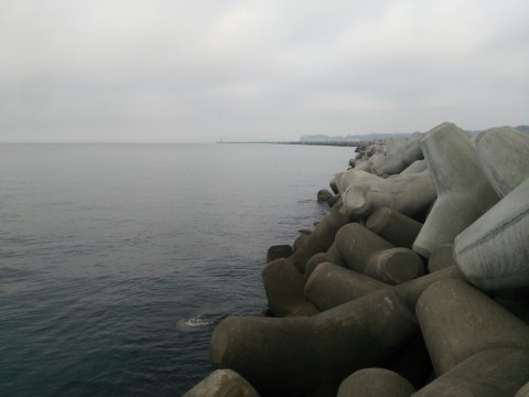 7hsonj6pkwank7gnnou3_920_690-8b78377b.jpg