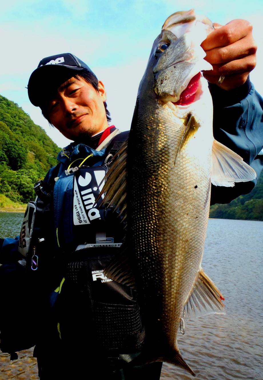 島根real Seabass 清流域