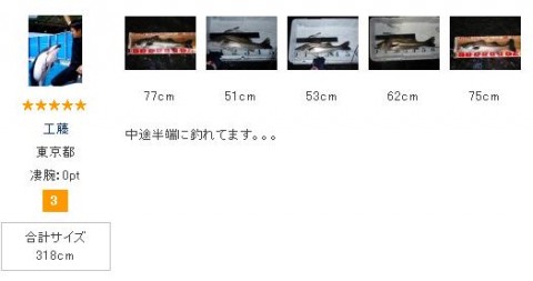 7iC7btAthwtVcVGhT343_480_480-fb54e4cb.jpg