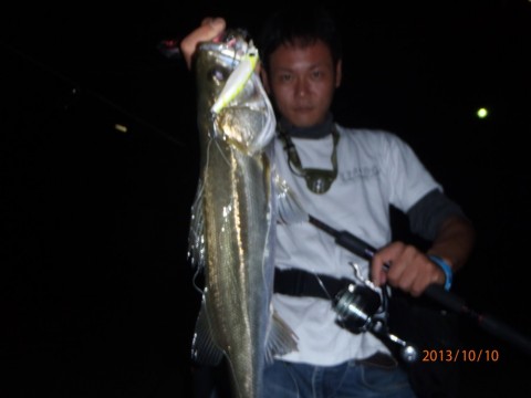 7ib45g3uftgr9fwjfyvh_480_480-2f4cd8fd.jpg