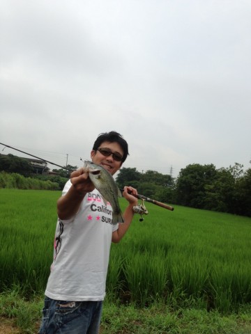 7idafeajkziboku6ap8p_480_480-ee8938b6.jpg