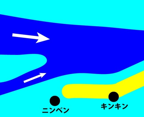 7ioczw67va3v7d7mpo7x_480_480-5a9fce1f.jpg