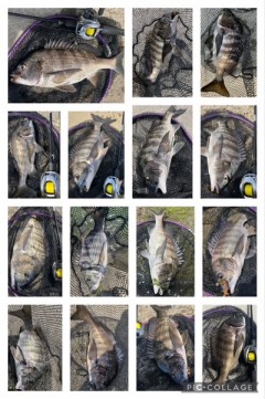 7iurwobpw7airybpztj8_319_480-f881abc7.jpg
