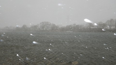 7j54vdovxoc6nnpe3jon_480_480-f888c21e.jpg