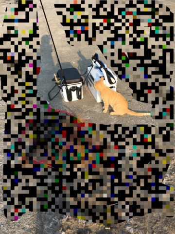 7jag2t6cvu4u68osvhkg_690_920-73563d18.jpg