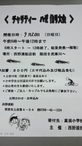 7jd22uak374fhc82cb52_480_480-9300598c.jpg