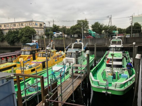 7jffua3tfg4x2zdsonmh_920_690-c5da68bc.jpg