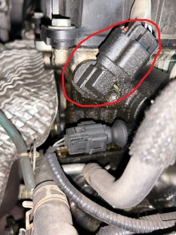 7jgb893uvx5vf5orrb8e_480_480-a2dfcd13.jpg