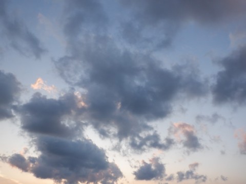 7jmoerwmncxdxjsk5bt5_480_480-ca89b3b8.jpg