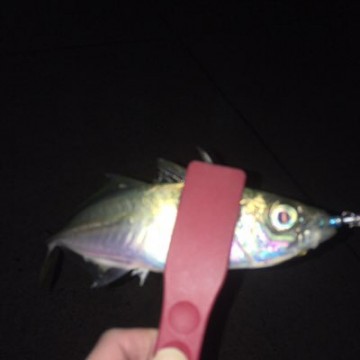 7jn9688vpdozyywdtmac_400_400-5f4d8398.jpg