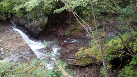 7jnfaxkfs6km5ywwbv9c_920_518-c16f5b2a.jpg