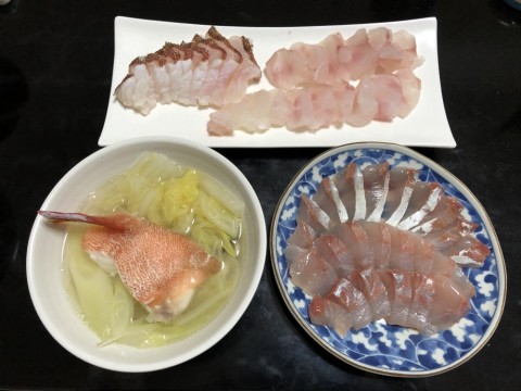 7jp8fgusxhibv7o3myws_480_480-b30b0f9d.jpg
