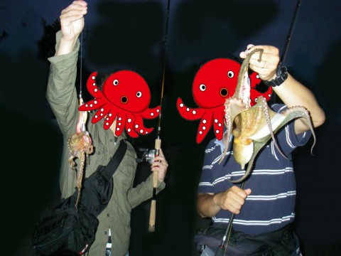 7jthhtuvn9fkbjgcabfd_480_480-31070f8a.jpg