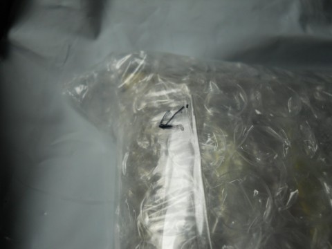 7jxmry62vfd8bnsroup3_480_480-2f428573.jpg
