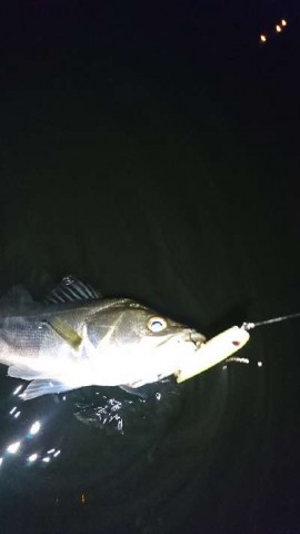 7jygfpjr69k78puwpnr9_480_480-607556c3.jpg