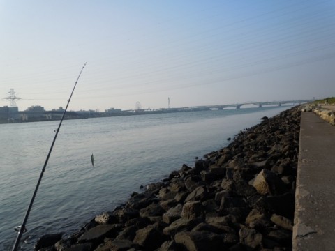 7kfyr86rmya6fekeprdc_480_480-91a647a6.jpg