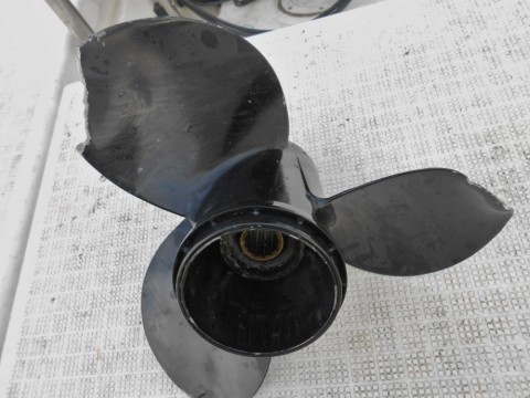 7kjcn269hu7eknen5rt2_480_480-5f68d254.jpg