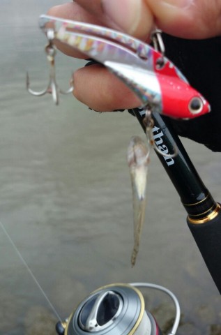 7koi5r3imidddpoyb2xr_607_920-7e651034.jpg