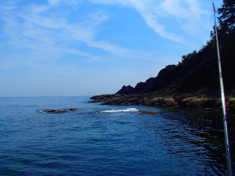 7kueitb44yu3z3n5r44t_920_690-493d9cc0.jpg