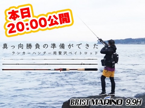 7kxo76vi3mgvdr4pdjs7_480_480-f86bee4d.jpg
