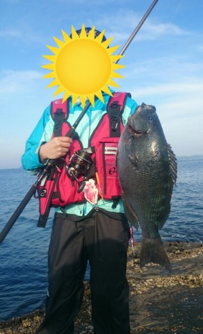 7mc964bcjimi4oj2pm8c_559_920-e50021d4.jpg