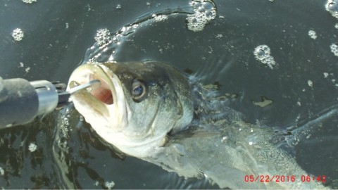 7mccm6kwtz7jrgg5gec8_920_518-06b0df16.jpg