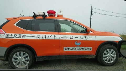 7mrgepy3papk3phn65ji_480_480-6570aa66.jpg