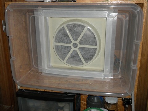 7ninhde3tb2w7xey7kgt_480_480-916035d3.jpg