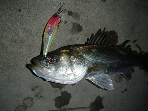 7nmhsdak28hm328f45f7_920_690-2359d795.jpg