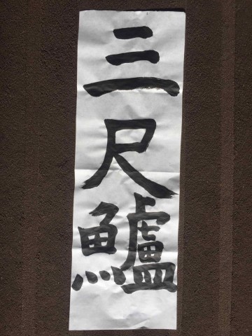7nmsiyx3m7c96up2jpcj_360_480-3484ce54.jpg