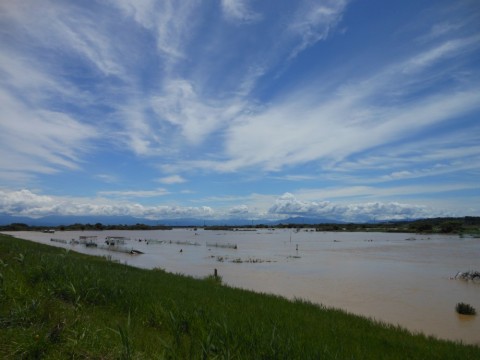 7nsy9ohxkfcsi9nzpf53_480_480-206db638.jpg
