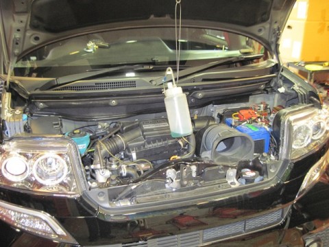 7nv835zmismwo2gs63w4_480_480-2b2cdd03.jpg