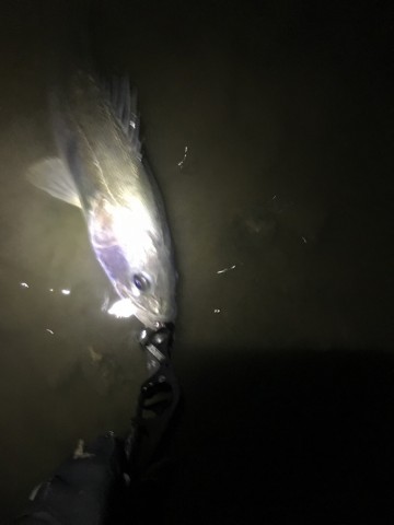7o5s6kj4hbgw5bfgghyk_690_920-162ec3fb.jpg
