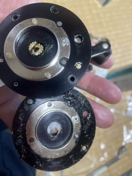 7o8fe57fcc28wukhszbe_361_480-8fc6dcb7.jpg