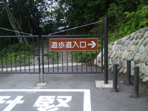 7okiw9a7cm4r3445d6rx_480_480-734bbda2.jpg