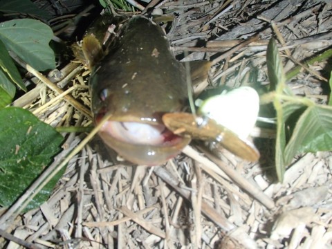 7pmv848exzywfay2n697_920_690-9778c5ec.jpg