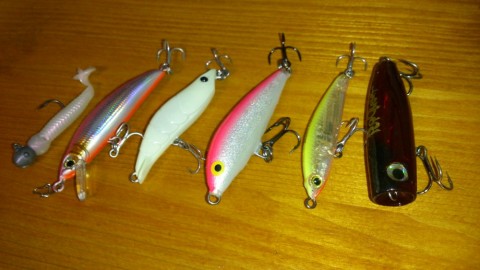7poinah5gdtjnr7xnz9v_480_480-e31b1af5.jpg