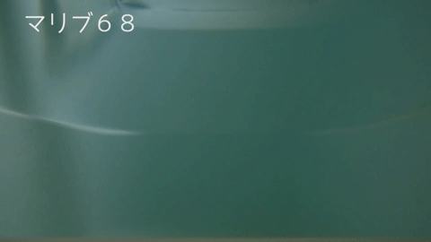 7r8g9hetfiom486mo5nx-ca267c3d.gif