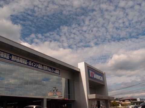 7rm9hbr2xyfmy2842kjn_480_480-51c4fd22.jpg