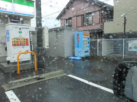 7rsh35dnoeghdkrjut89_480_480-8a79b84a.jpg